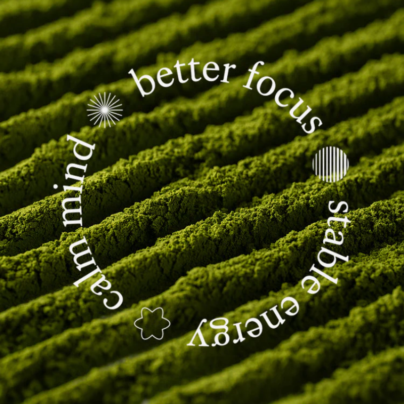 Matcha (pure powder)