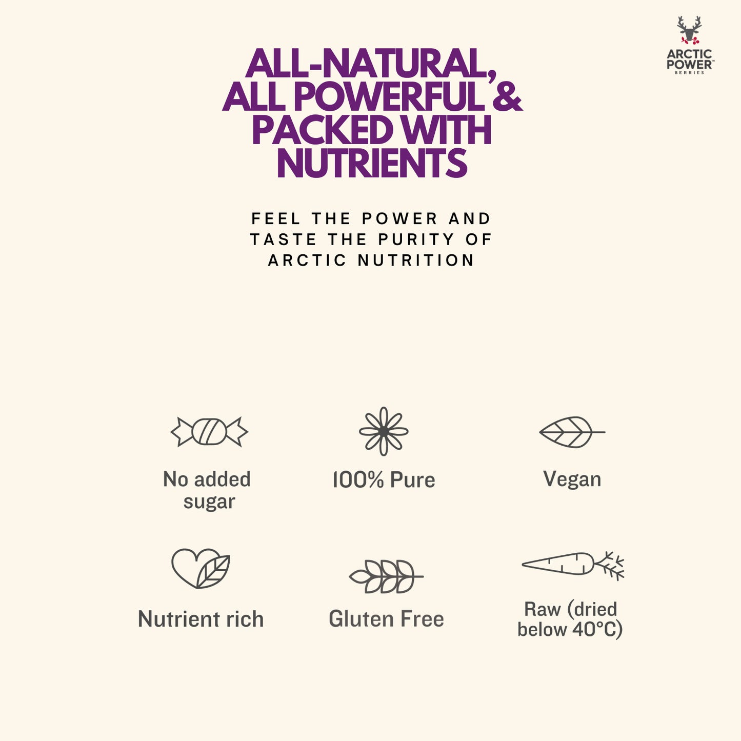 Blueberry powder, 70g
