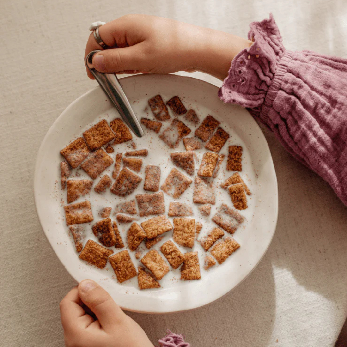 Cinnamon Bites