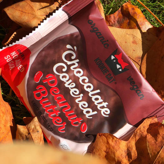 Chocolate peanut butter Box of 12