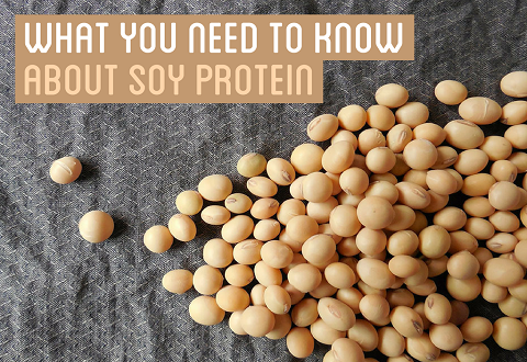 What you need to know about soy protein.