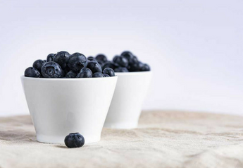 Benefits of Blueberries