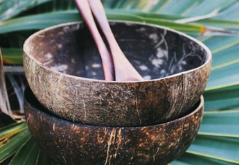 Coconut Bowls