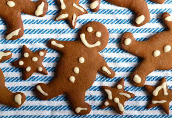 Healthy Gingerbread Cookies