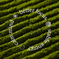 Matcha (pure powder)