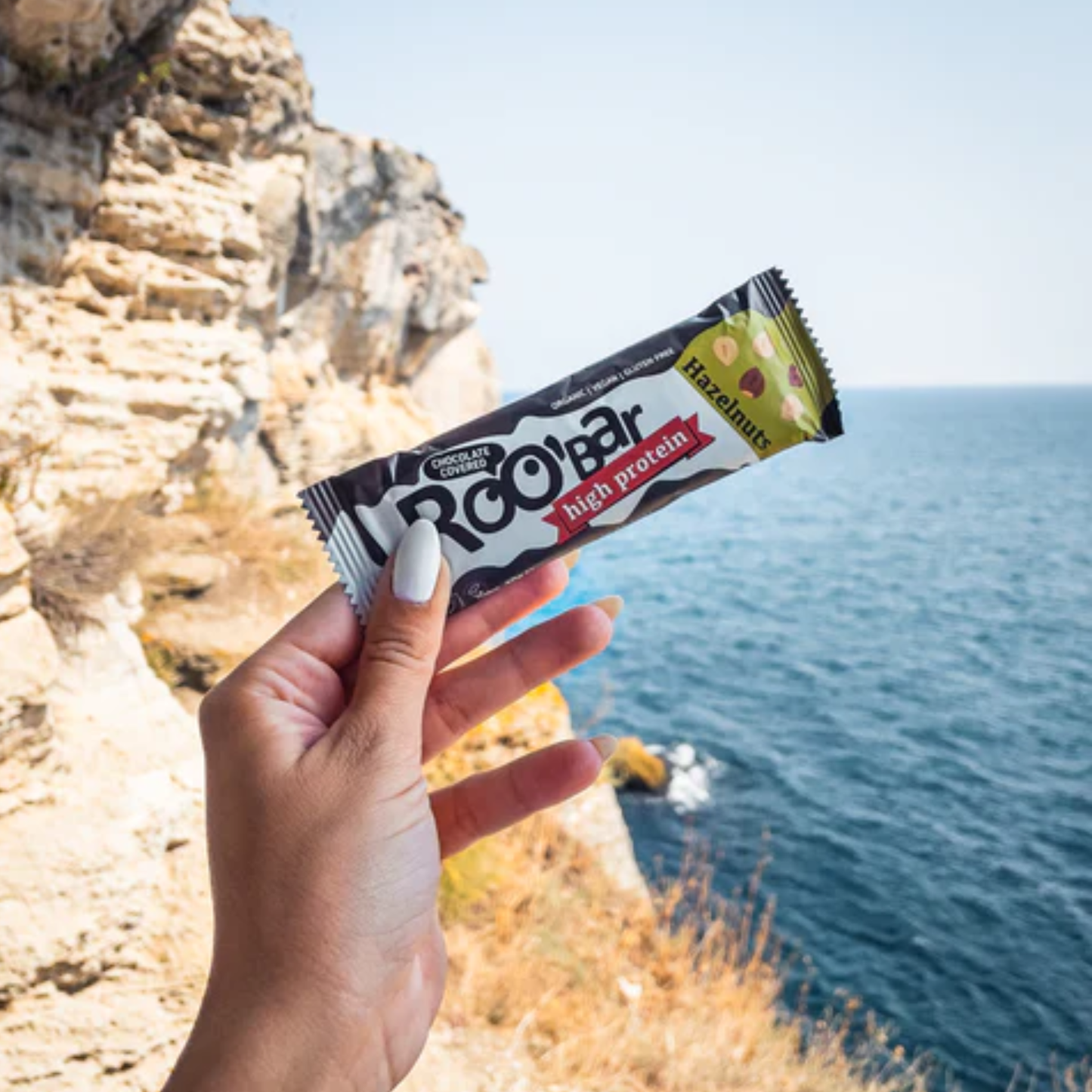 Hazelnut Protein Bar