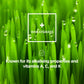 Green energy, Multivitamin, 90 capsules