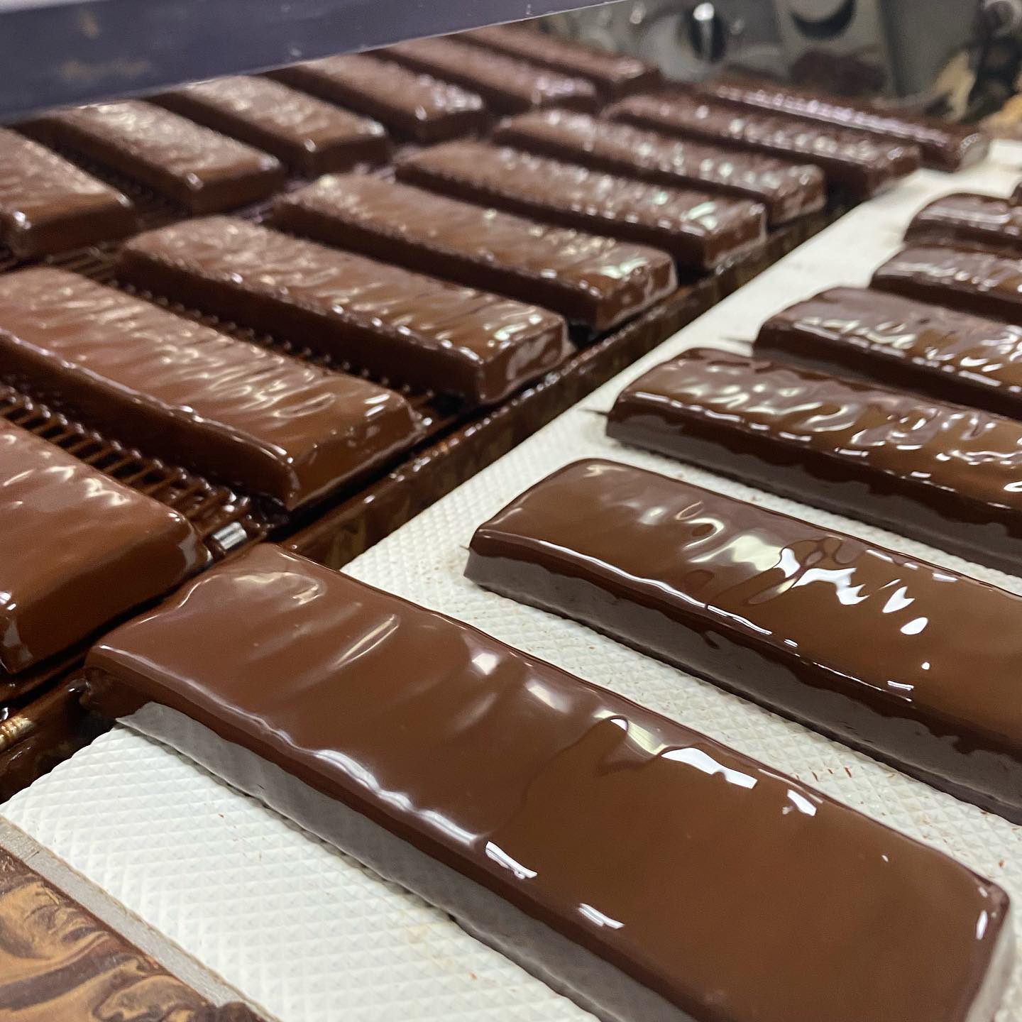 Protein Bar Bundle