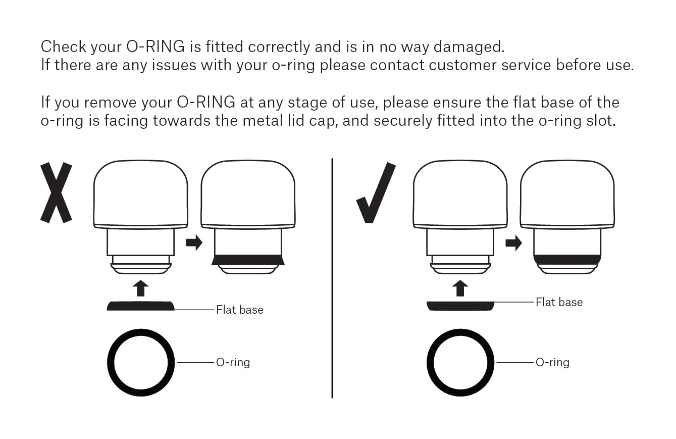 O-Ring